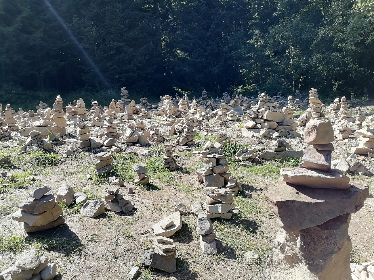 Синевир вже не той. Як змінилося найбільше озеро Українських Карпат за десять років